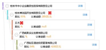 桂林市中小企業(yè)融資性擔(dān)保有限責(zé)任公司 破解企業(yè)融資難題的專(zhuān)業(yè)橋梁