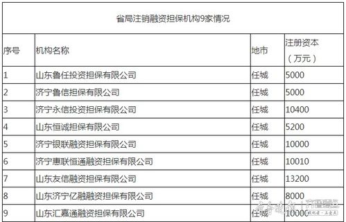 濟(jì)寧9家融資擔(dān)保機(jī)構(gòu)退出市場，行業(yè)規(guī)范再升級